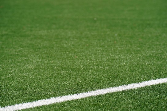 gras sport lijn voetbal (vergroot foto)